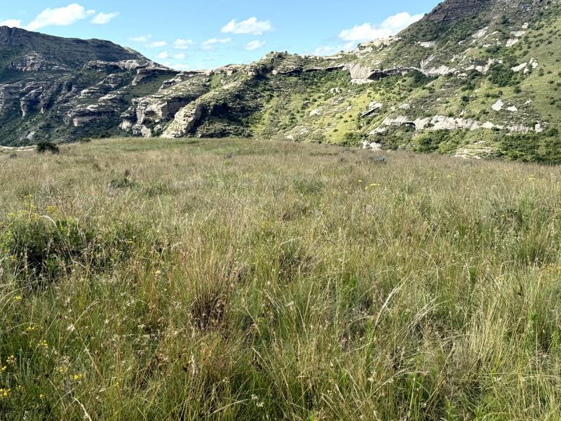 0 Bedroom Property for Sale in Fouriesburg Free State